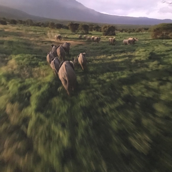 Meet your Posher, Dawn - Picture 1 of 1